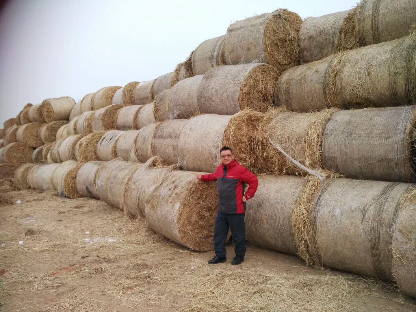 生物饲料发酵剂可替代25-33%的粮食饲料