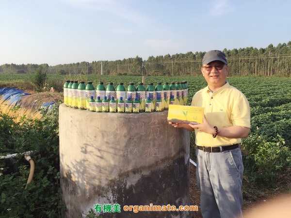 美国亚联微生物肥Bio1One 等菌剂产品在广东雷州半岛优质番薯基地的广泛推广应用